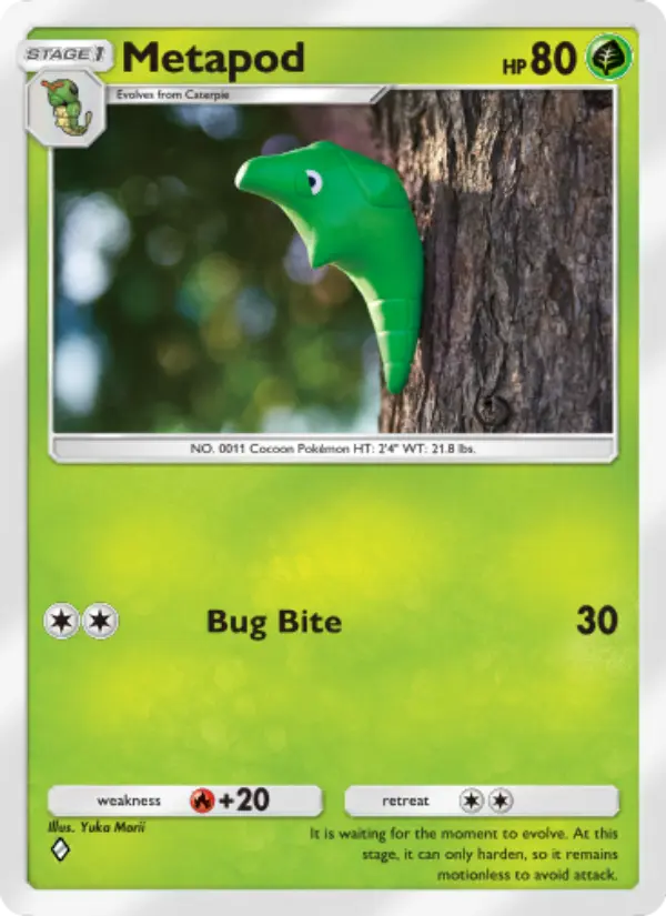 Metapod Cover art
