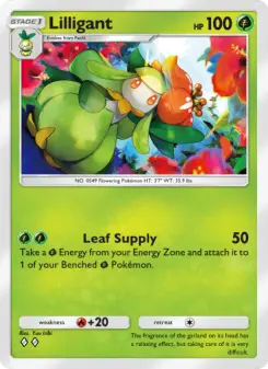 Lilligant Cover art