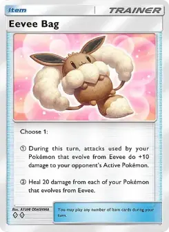 Eevee Bag Cover art